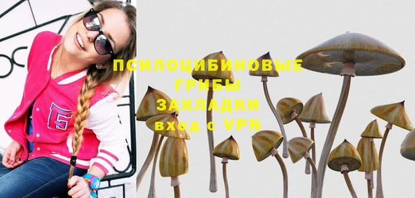 спиды Алексеевка