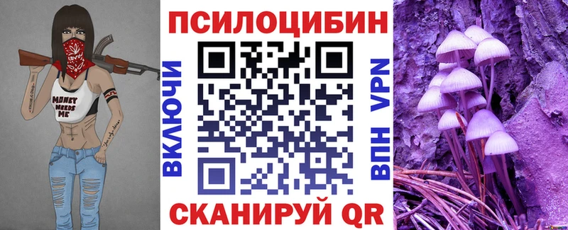 Псилоцибиновые грибы Psilocybe  как найти закладки  Люберцы 